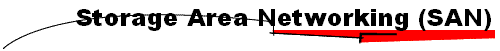 Storage Area Networking (SAN)